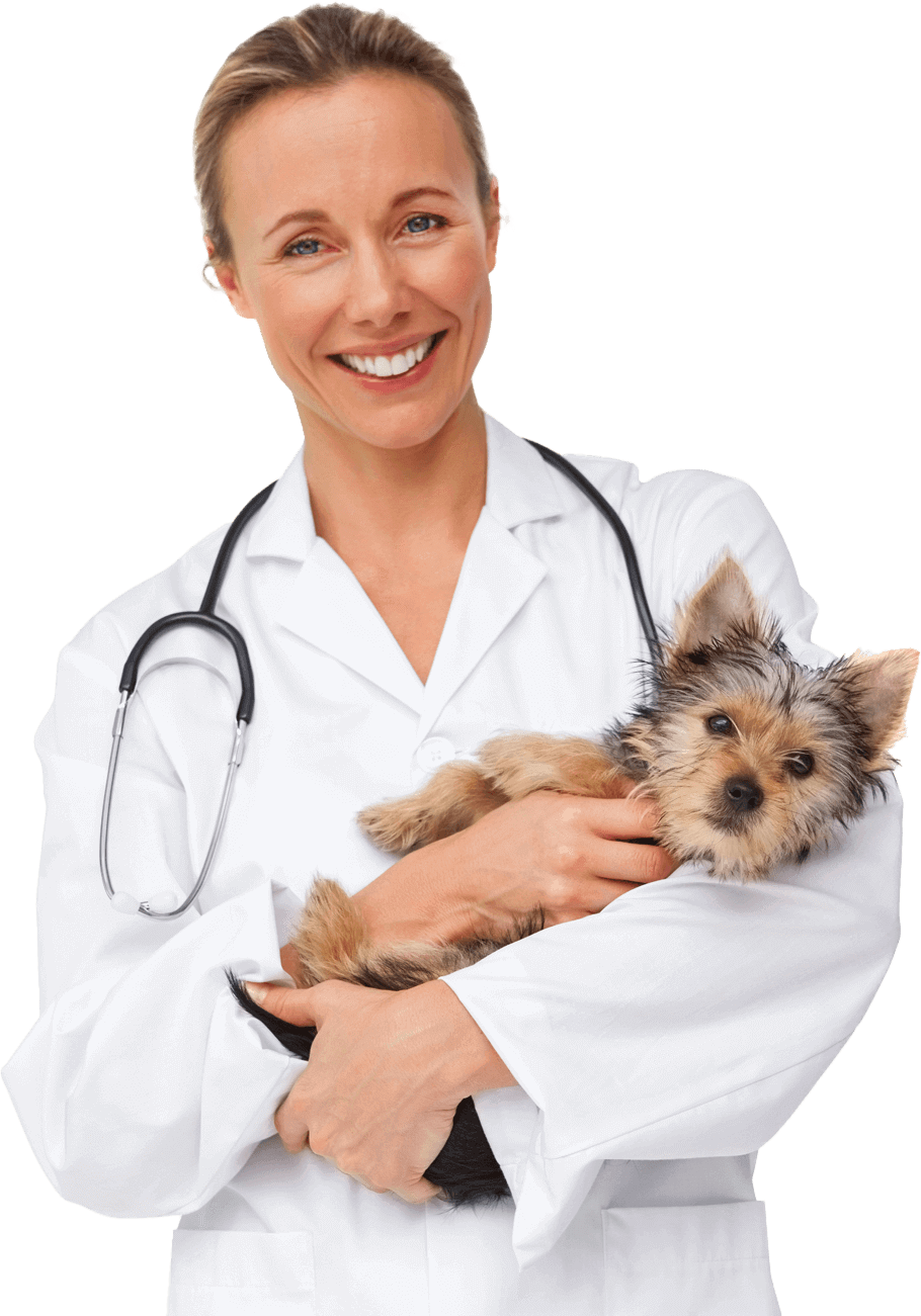 nanochip veterinarian